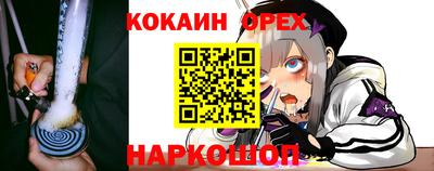 гашик Славгород