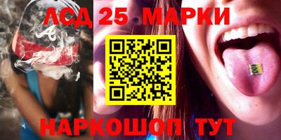 шишки Сланцы