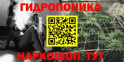 гашик Славгород