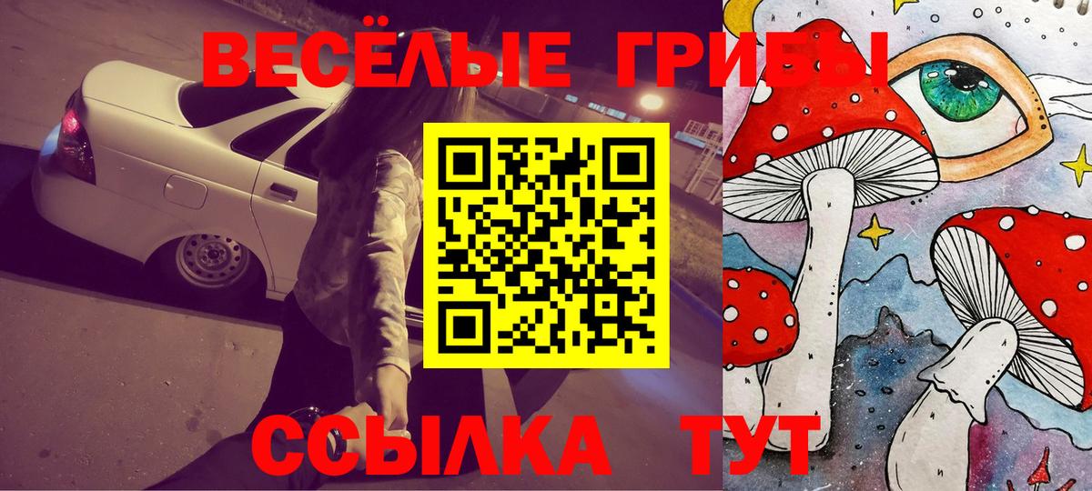 Псилоцибиновые грибы GOLDEN TEACHER Томск