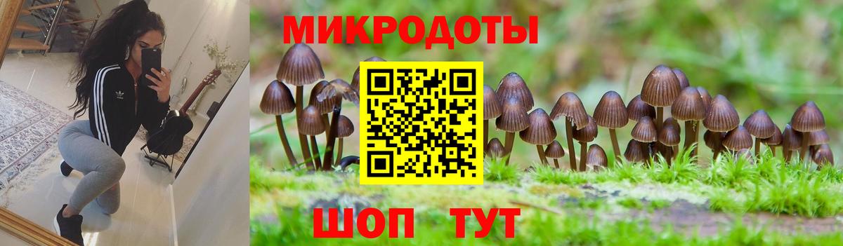 Псилоцибиновые грибы Magic Shrooms  Галлюциногенные грибы Cubensis  Вход с VPN  Томск 