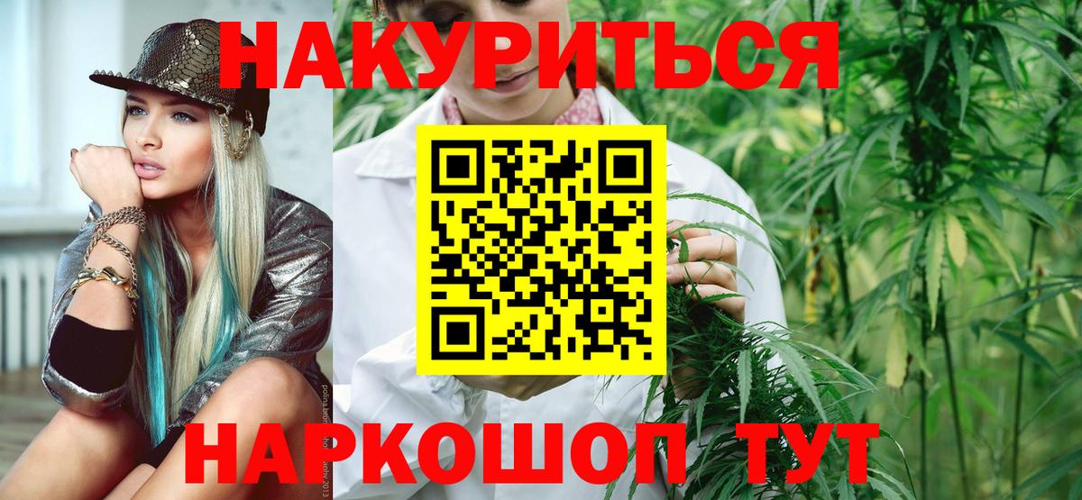 Конопля планчик Томск